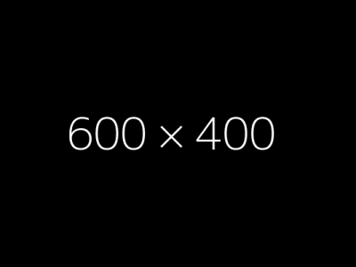 600X400